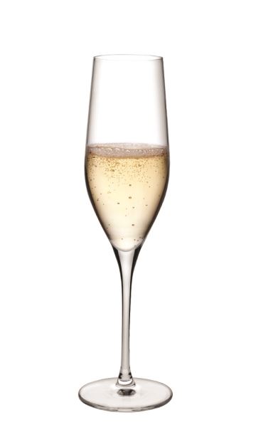 Champagne 66079 - 1070728 - Champagne Glass - Nude Collection