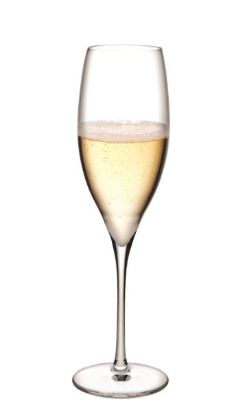 Champagne 66098 - 1070731 - Champagne Glass - Nude Collection