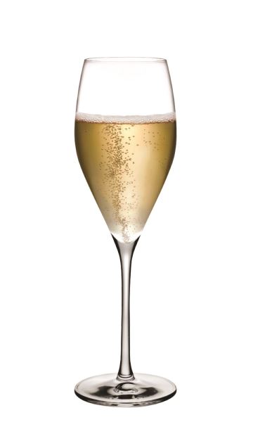 Champagne 66118 - 1054698 - Champagne Glass - Nude Collection