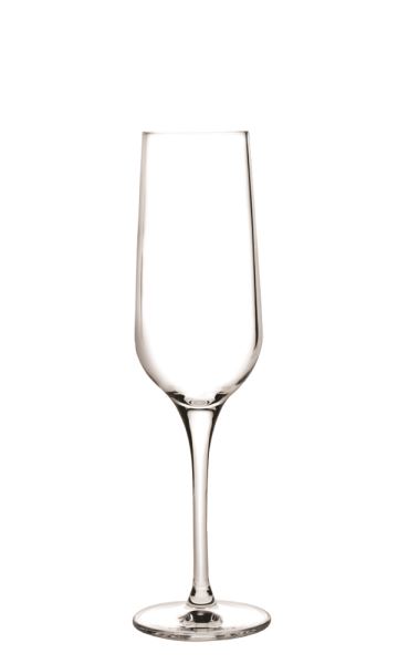 Champagne 67094 - 1080831 - Champagne Glass - Nude Collection