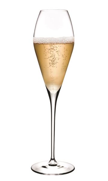 Champagne Glasses 66160 - 1081360 - Champagne Glass - Nude Collection