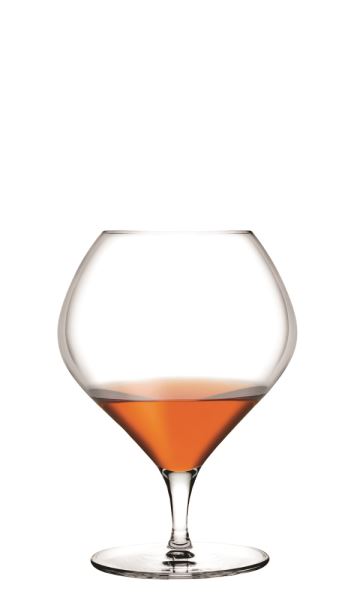 Cognac 66103 - 1081326 - Cognac Glass - Nude Collection