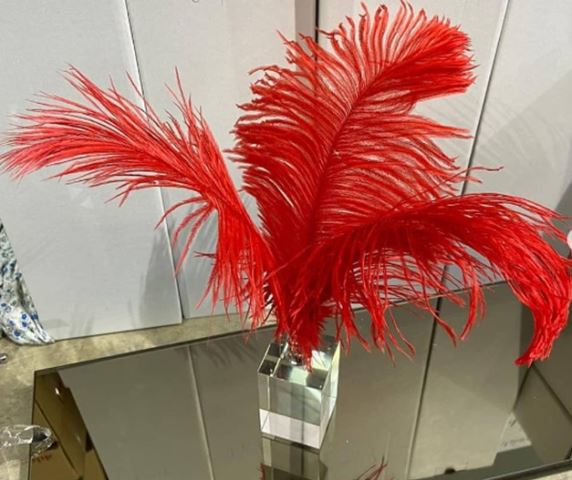 Crystal Base Ostrich Feather Red