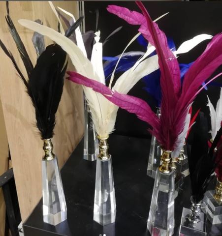 Crystal Base Rooster Feathers Long